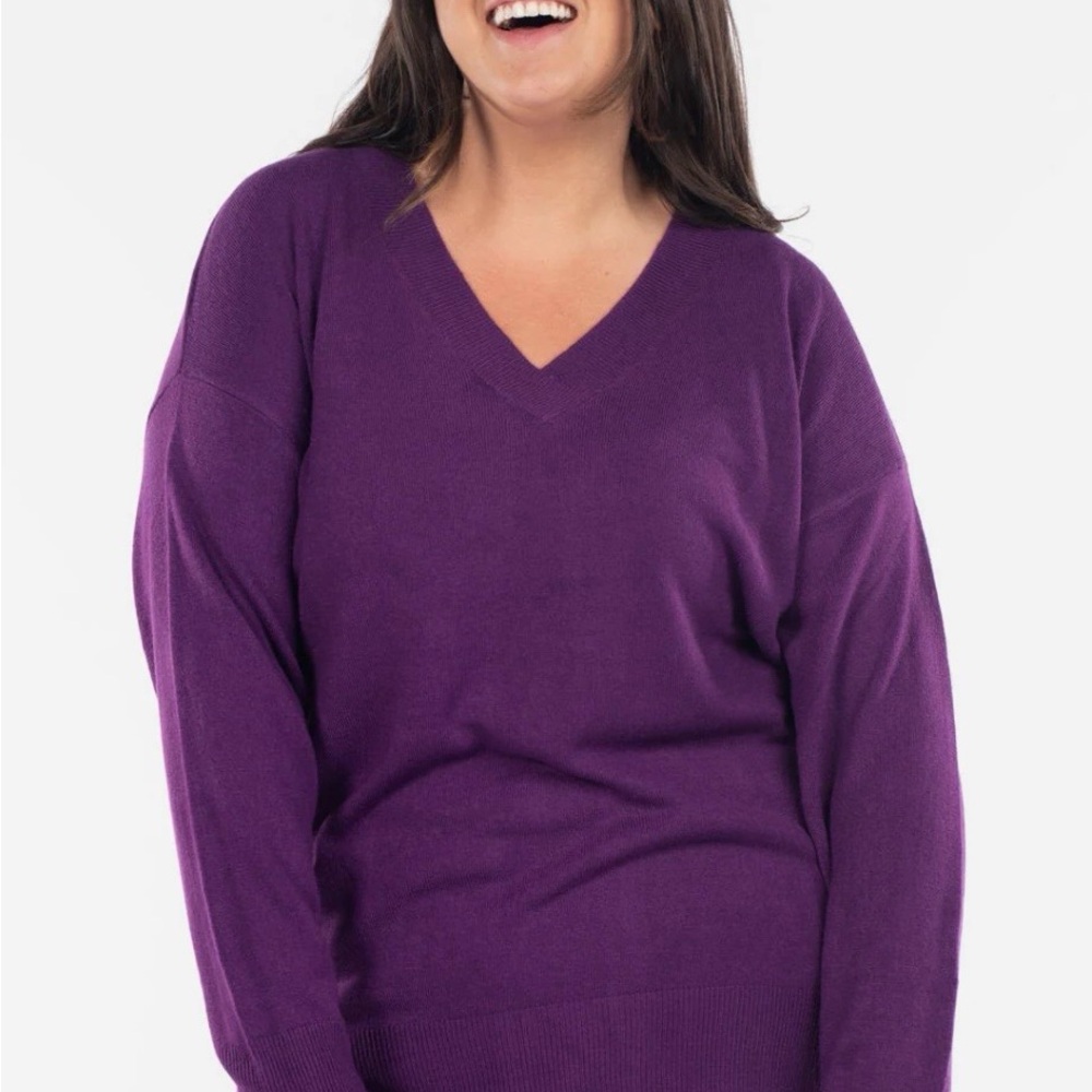 Sweetlegs Soft Knit V-Neck Sweater in Deep Purple